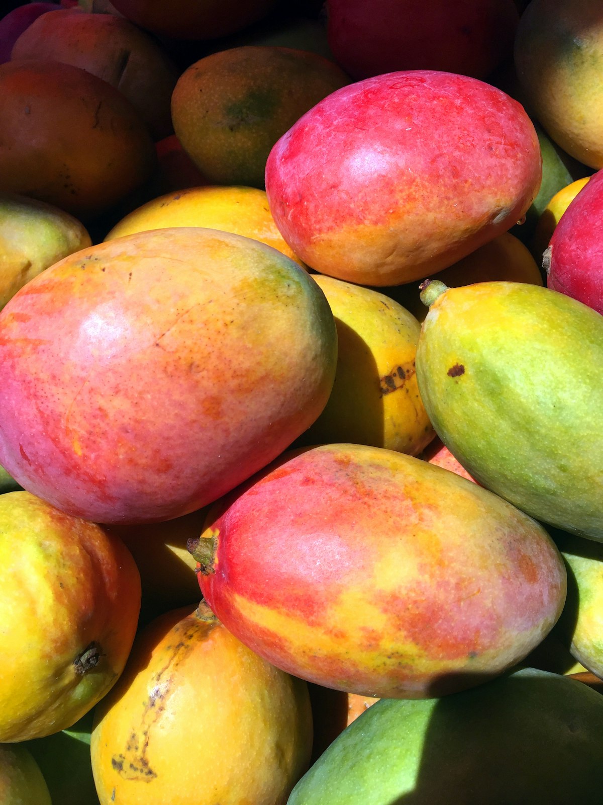 Alphonso Mango