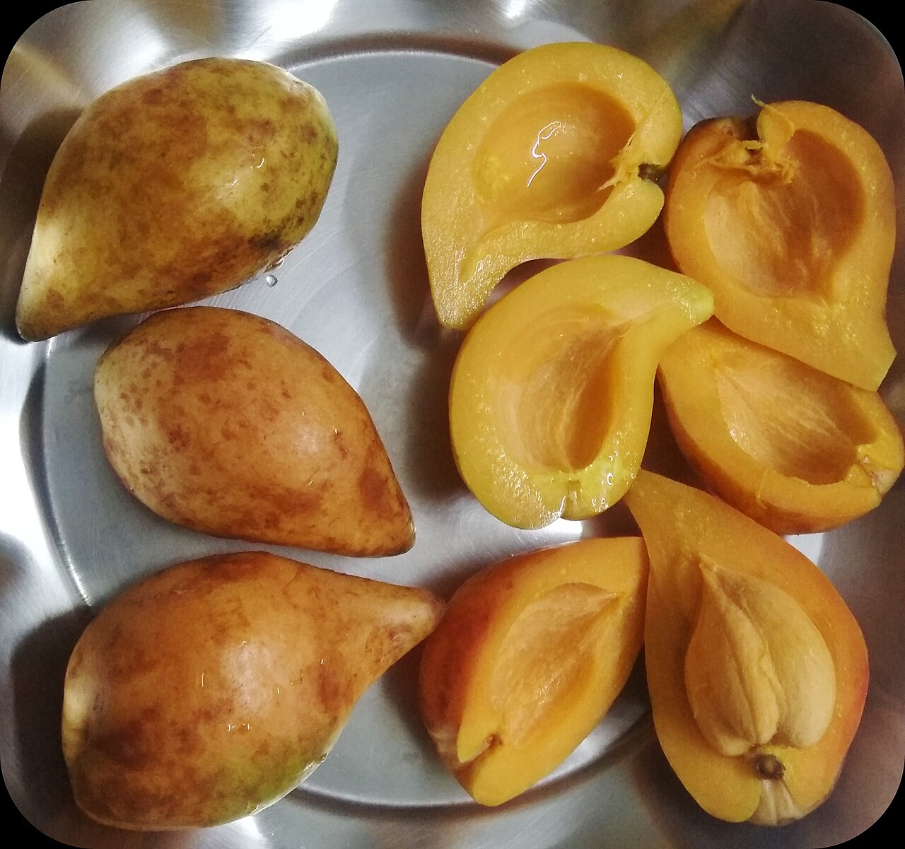 Kau (Garcinia)