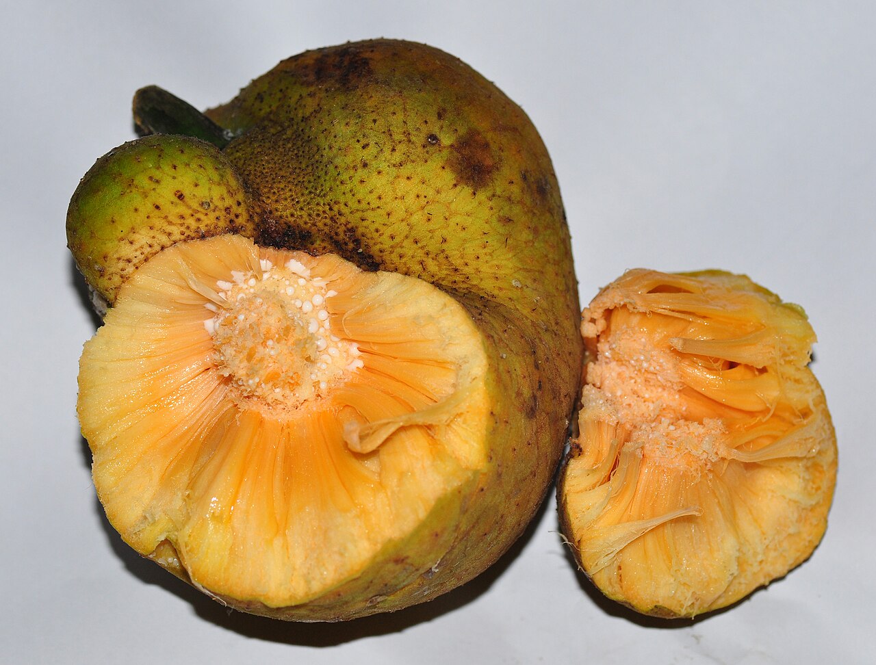 Lakoocha
