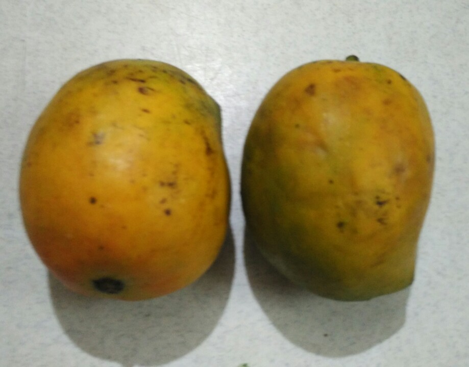 Raspuri Mango