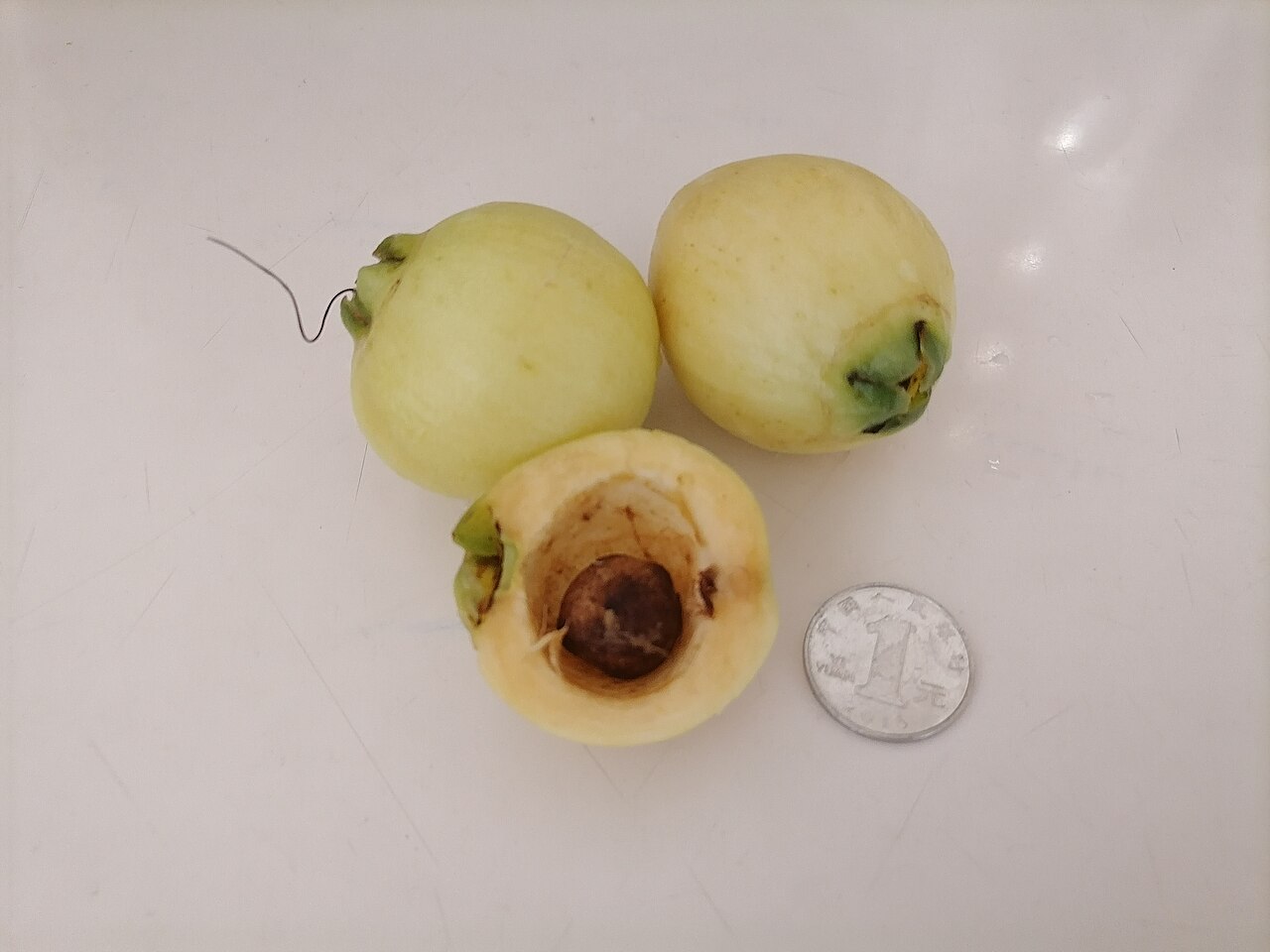 Rose Apple
