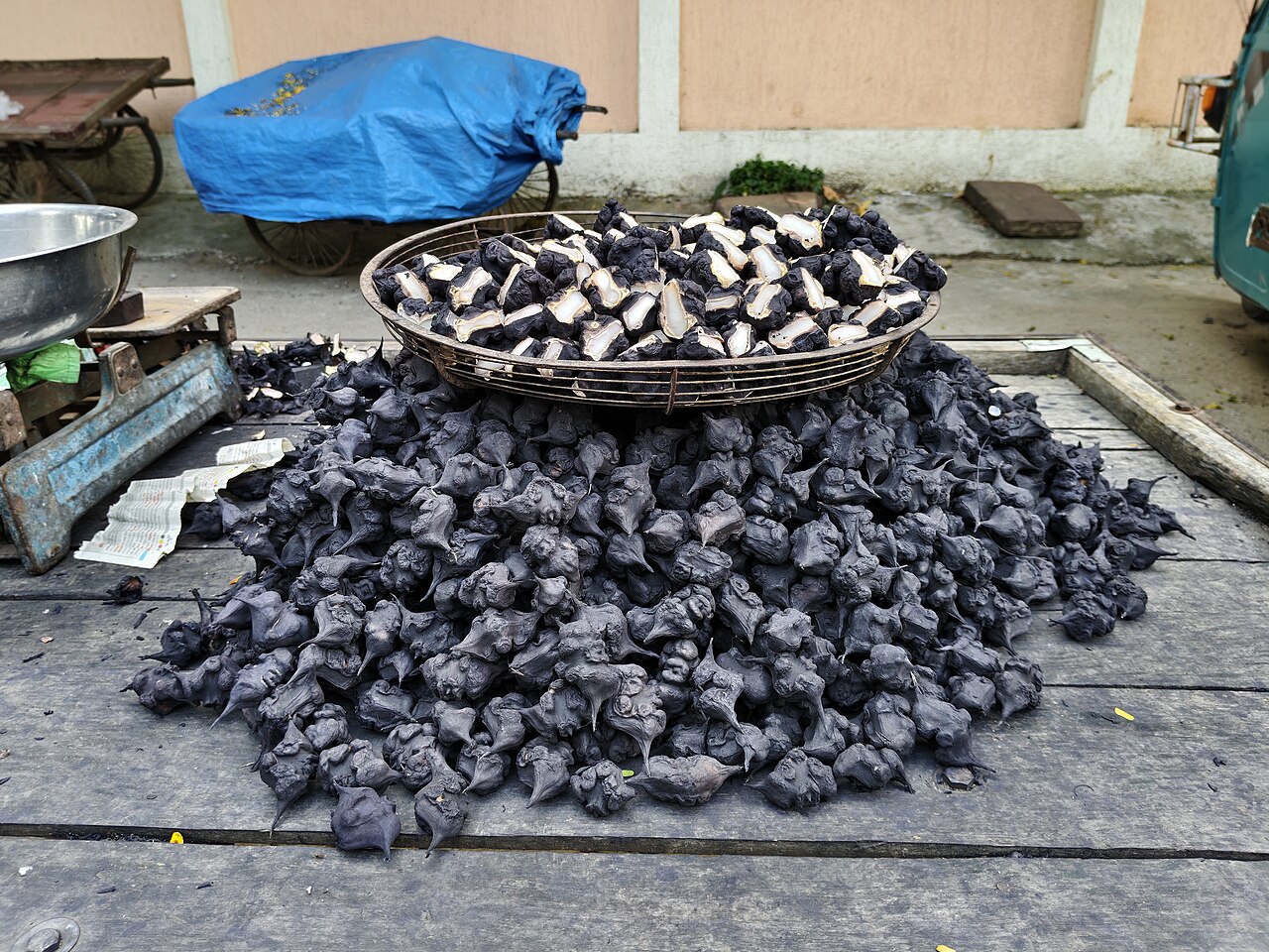 Singhara (Water Chestnut)