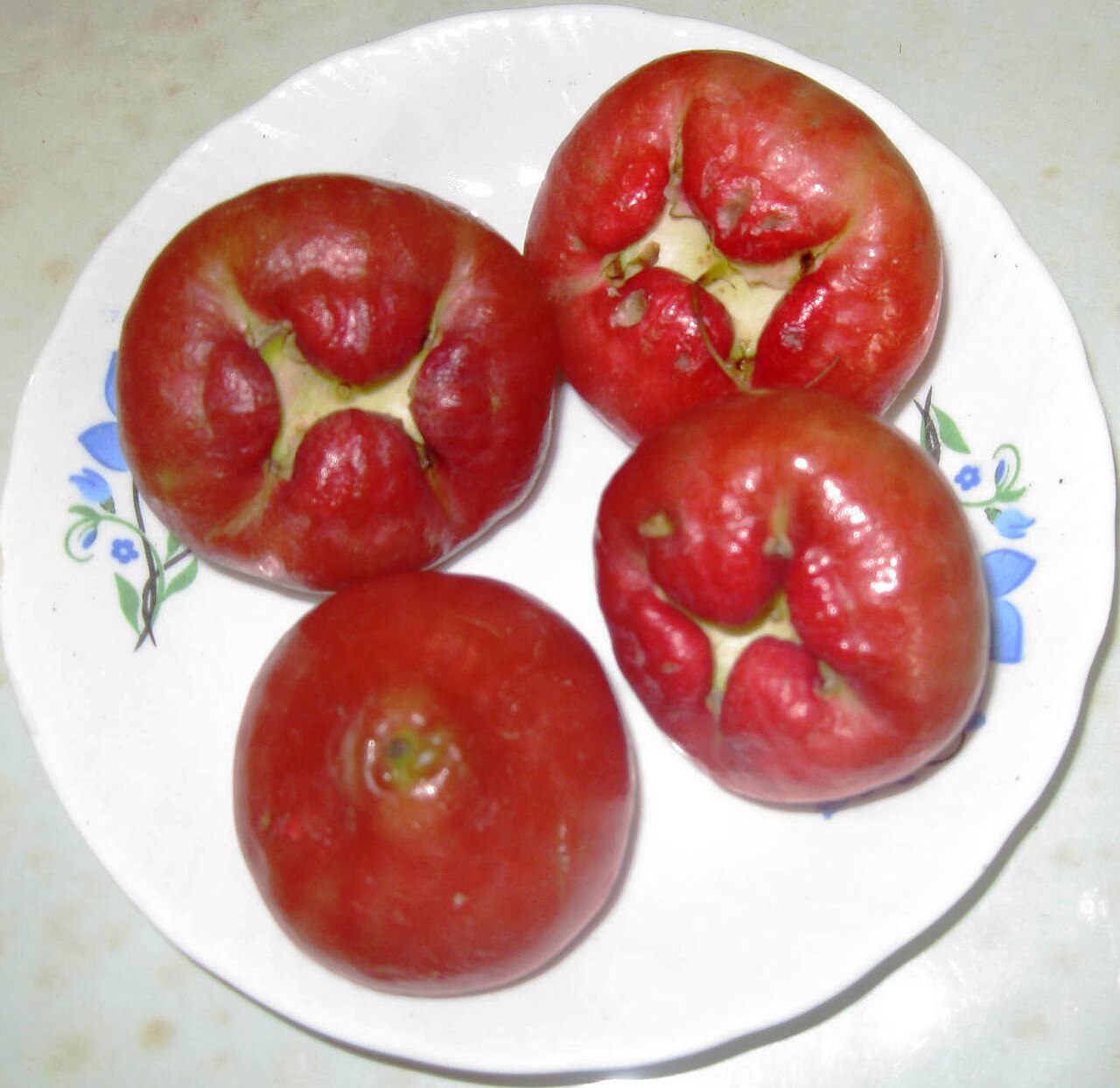 Wax Jambu